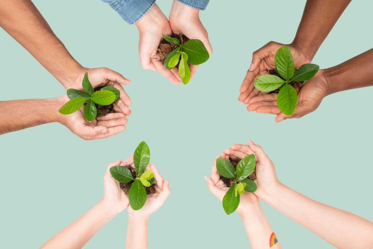 Como alinhar crescimento e sustentabilidade