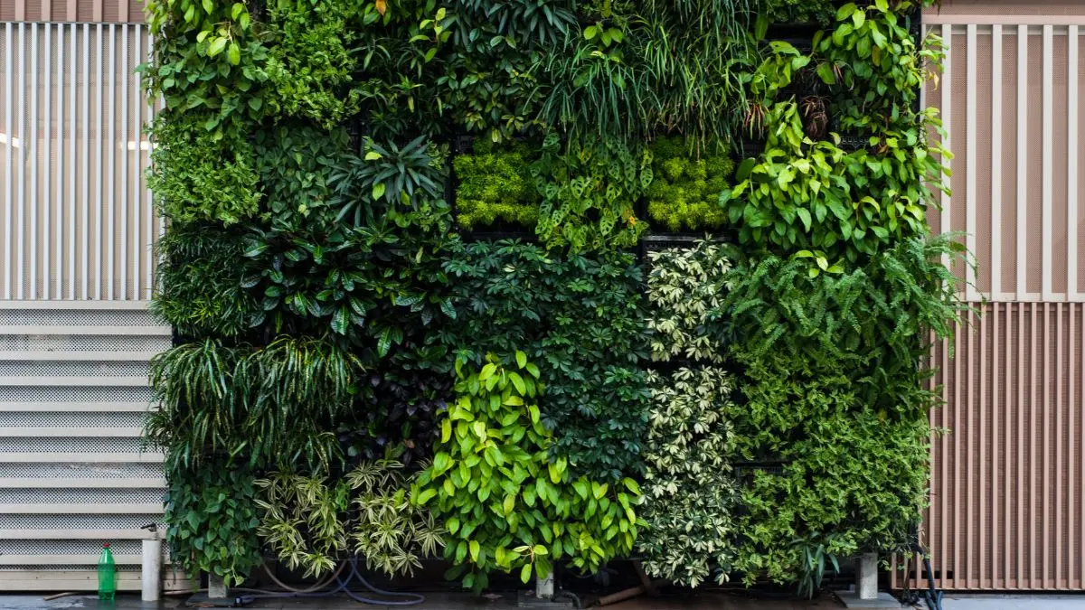 Como fazer jardim vertical artificial