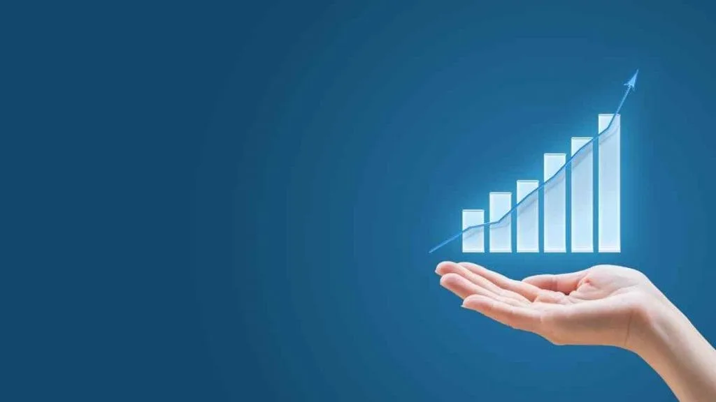 O que são investimentos Um guia para carteiras de investimento