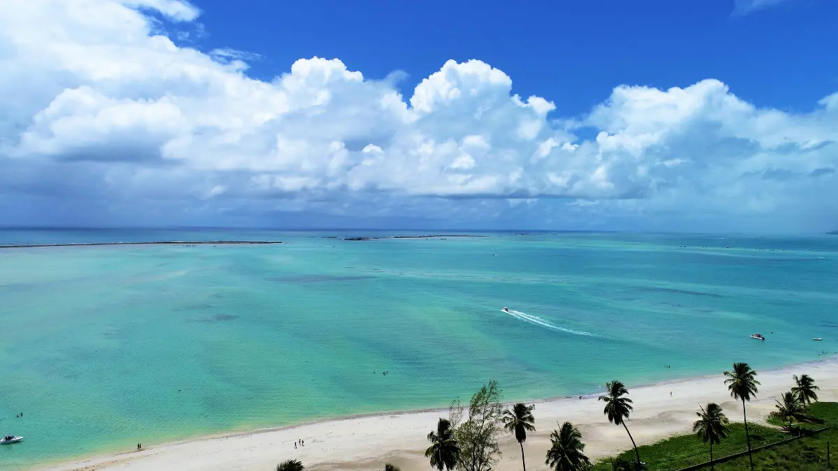 O ranking das melhores praias para você levar sua família