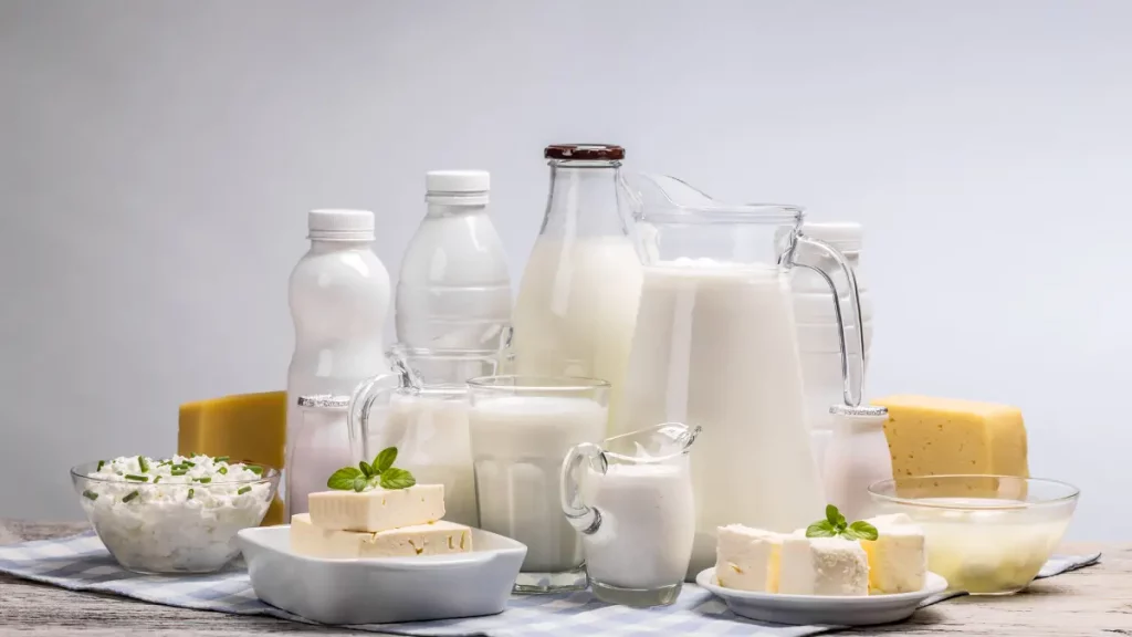 Bebida láctea, soro de leite e derivados