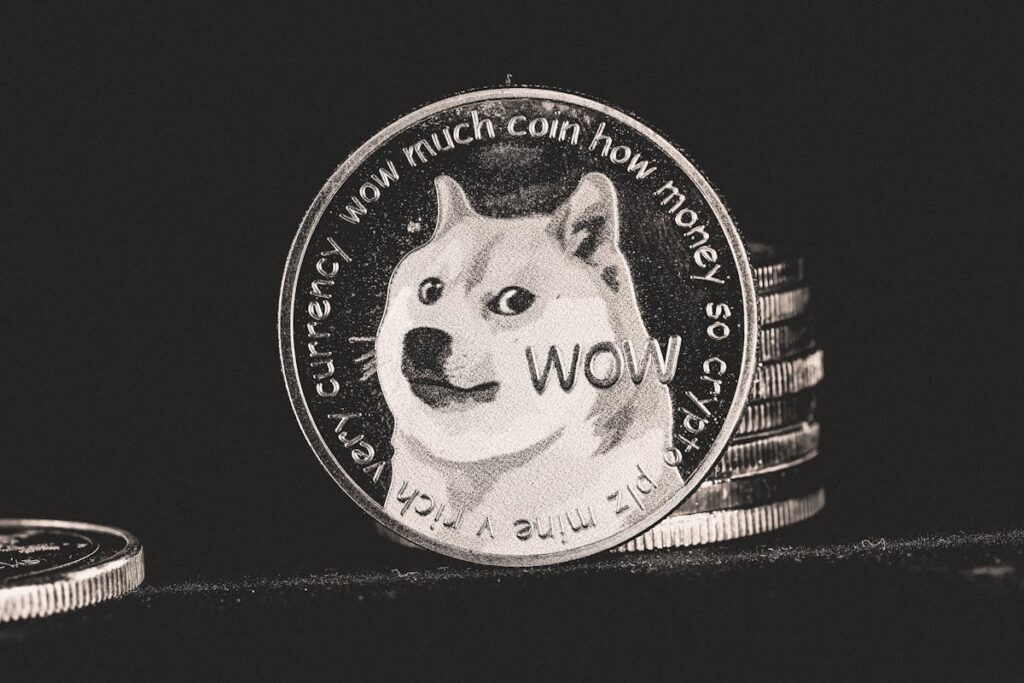 Dogecoin é apenas uma memecoin ou tem utilidade real