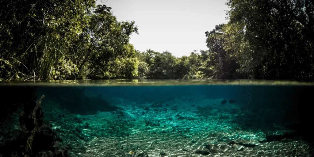 Flutuação no Rio da Prata