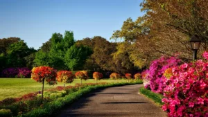 Rotina de manutenção em jardins para evitar formigas e cupins