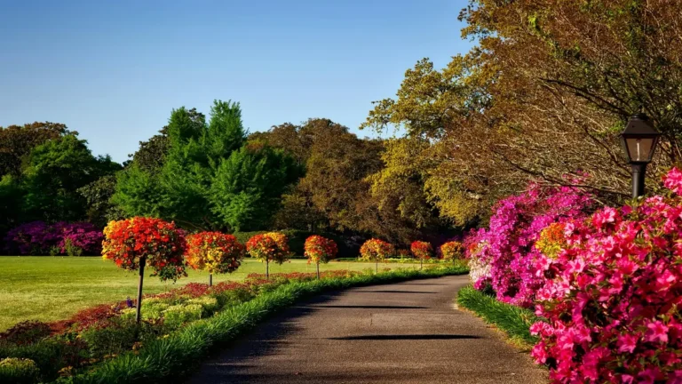 Rotina de manutenção em jardins para evitar formigas e cupins