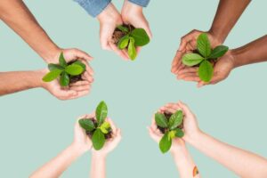 Como alinhar crescimento e sustentabilidade