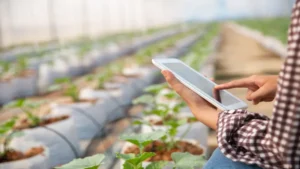 Benefícios da automação na administração de propriedades agrícolas modernas